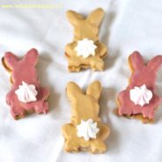 Velikonoční sušenky